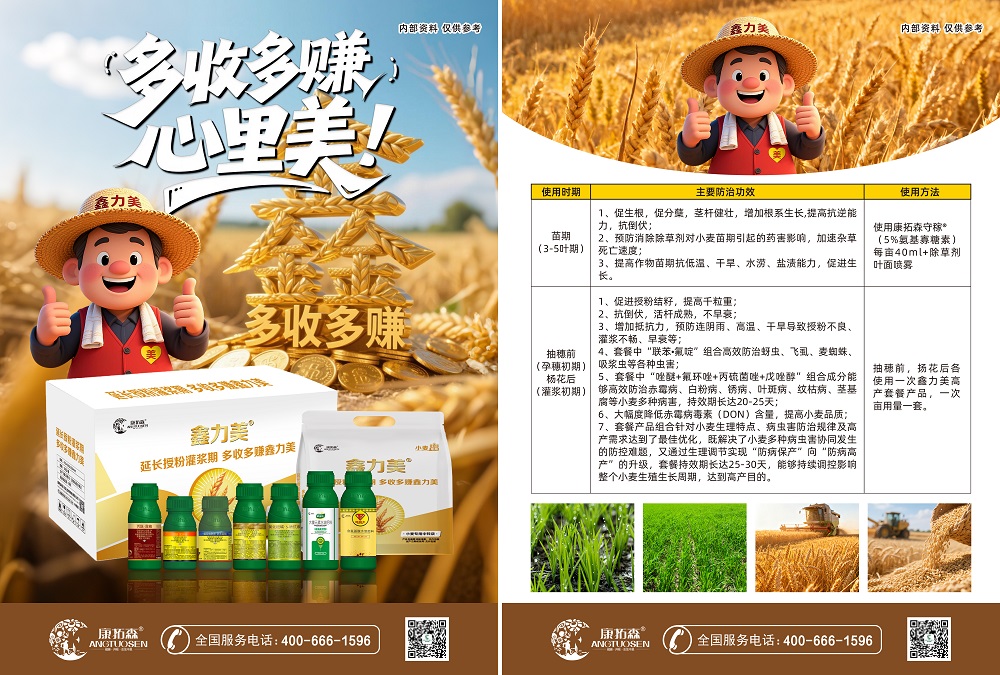鑫力美 小麥套餐